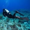 Fins - Seawing Supernova- Black