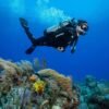 Fins - Seawing Supernova- Black
