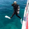 Wetsuit - Everflex Yulex Steamer 3/2mm Women